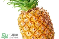 過敏性鼻炎可以吃菠蘿嗎？過敏性鼻炎能不能吃菠蘿？