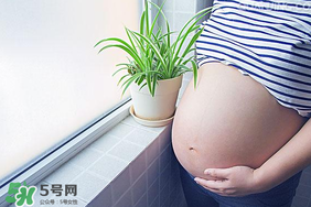孕婦可以做美甲嗎？美甲對(duì)孕婦有什么影響？