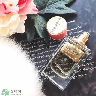 dolce gabanna香水哪款好聞？DG杜嘉班納香水推薦
