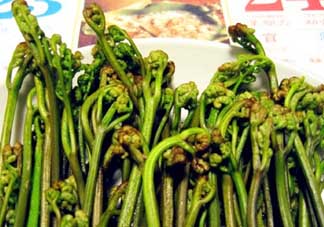 蕨菜有毒嗎？吃蕨菜會(huì)中毒嗎？