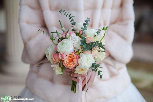 孕婦不能碰那些花 孕期避開的花有哪些 孕婦不能碰那些花 孕期避開的花有哪些