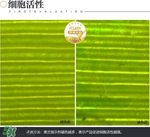 cpb保濕露多少錢(qián)？cpb保濕露專(zhuān)柜價(jià)格