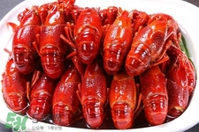 吃小龍蝦可以喝紅酒嗎？紅酒和龍蝦能一起吃嗎？