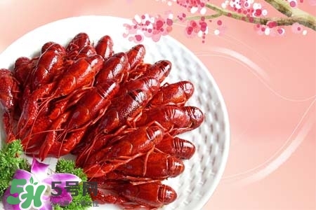 吃小龍蝦喝什么飲料？小龍蝦配什么飲料最好？