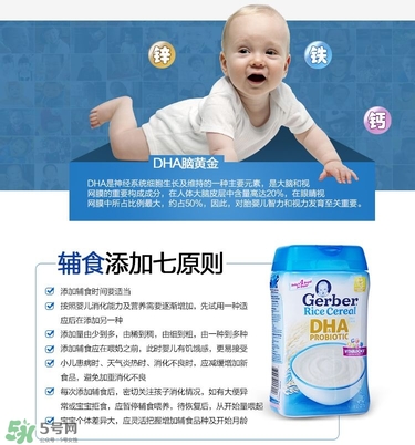 嘉寶dha米粉中文說明 嘉寶dha米粉說明書 嘉寶dha米粉中文說明 嘉寶dha米粉說明書