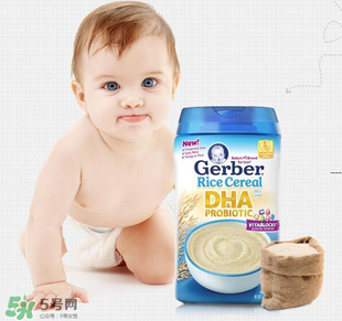 嘉寶dha米粉含鐵嗎？ 嘉寶dha米粉含鐵量多少？