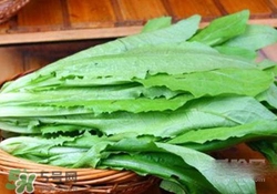 油麥菜糖尿病能吃嗎？糖尿病能吃油麥菜嗎？