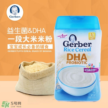 嘉寶DHA米粉會(huì)過(guò)敏嗎？嘉寶dha米糊會(huì)過(guò)敏嗎？