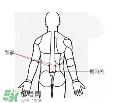 艾灸能減肥嗎？艾灸能不能減肥