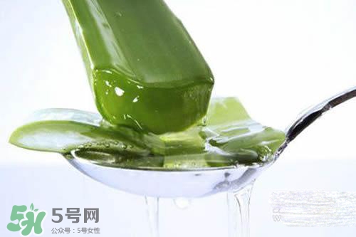 黃瓜水和蘆薈水哪個(gè)好？黃瓜水和蘆薈水功效區(qū)別