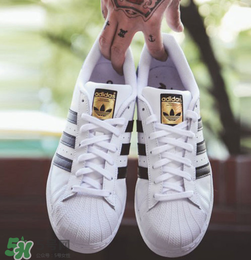 adidas貝殼頭正品多少錢？阿迪達斯貝殼頭鞋專柜價格