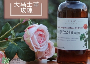 黃瓜水和玫瑰水哪個好？黃瓜水和玫瑰水區(qū)別
