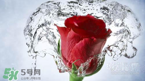 黃瓜水和玫瑰水哪個好？黃瓜水和玫瑰水區(qū)別