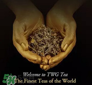 twg茶哪個(gè)最經(jīng)典？twg茶葉哪個(gè)好喝？