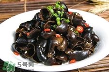 黑木耳是菌類的嗎？黑木耳屬于菌類嗎？