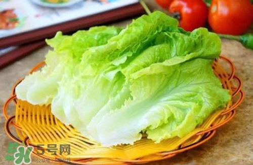 生菜可以放冰箱嗎？生菜可以放冰箱多久？