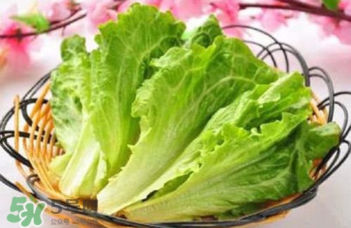 生菜可以放冰箱嗎？生菜可以放冰箱多久？