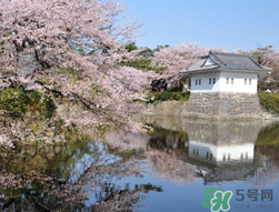 5月份去日本穿什么？五月份去日本穿什么衣服？