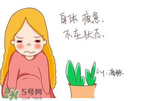 為什么身體總是覺得累？總是覺得累是怎么回事