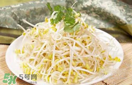 黃豆芽熱量高嗎？吃黃豆芽會長胖嗎？
