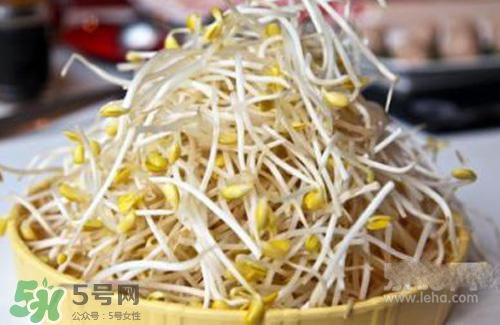 黃豆芽熱量高嗎？吃黃豆芽會長胖嗎？