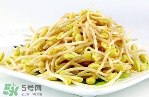 黃豆芽熱量高嗎？吃黃豆芽會長胖嗎？