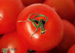 五月份吃什么蔬菜？5月份吃什么蔬菜？