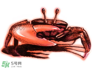 五月份可以吃螃蟹嗎？5月份可以吃螃蟹嗎？