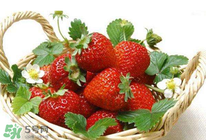 五月份還有草莓嗎？5月份還有草莓嗎？