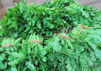罌粟苗能當(dāng)菜吃嗎？罌粟苗可以當(dāng)菜吃嗎？