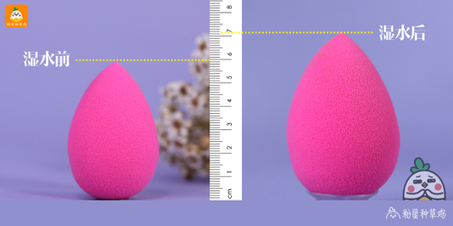 beauty blender美妝蛋和rt美妝蛋哪個好？