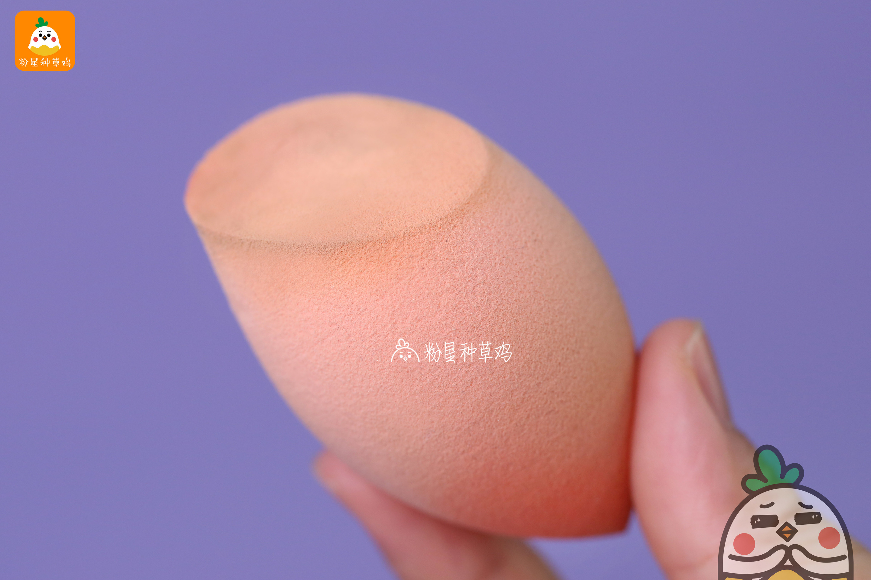 beauty blender美妝蛋和rt美妝蛋哪個好？