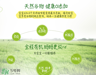 禧貝米粉二段味道怎么樣？禧貝米粉二段味道如何？