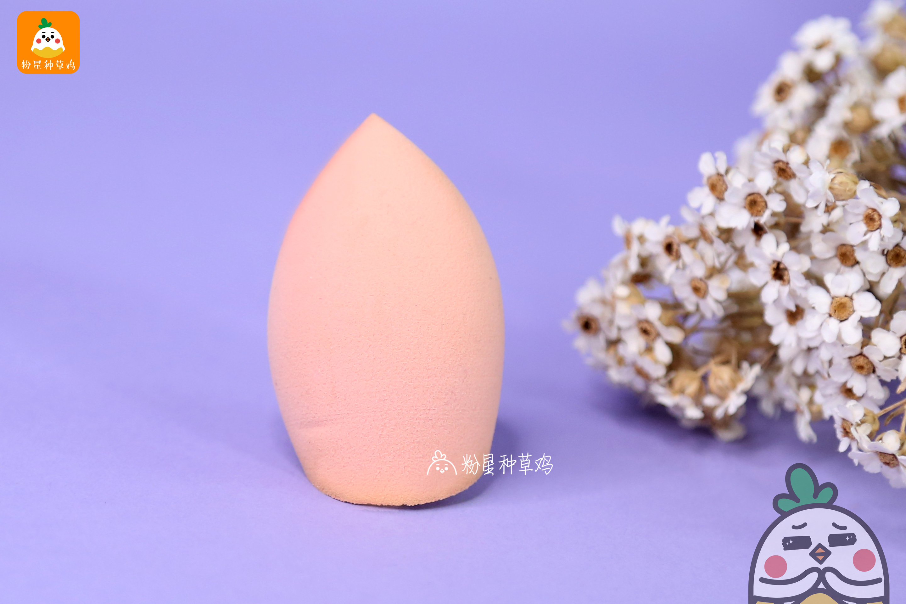 beauty blender美妝蛋和rt美妝蛋哪個好？