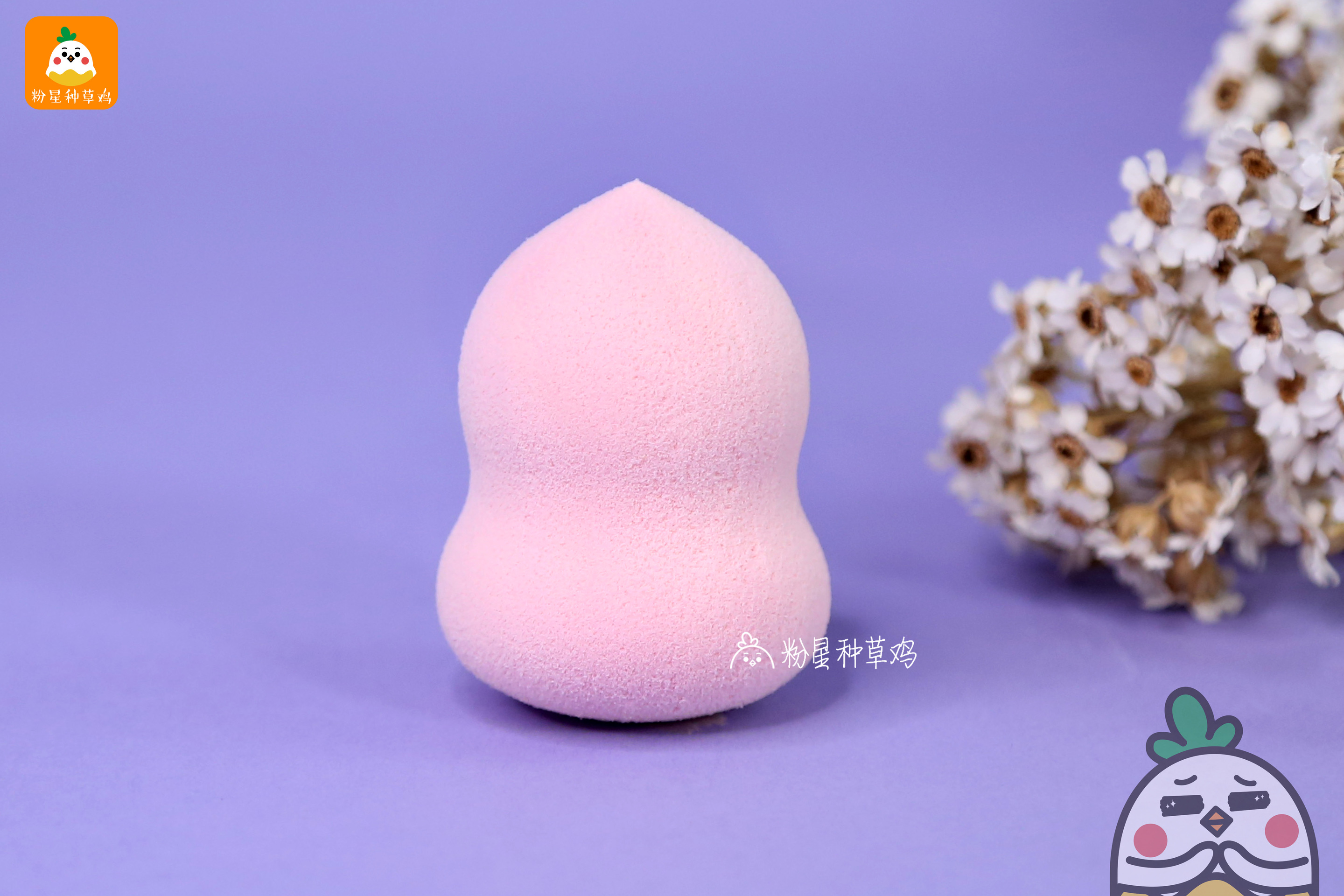 beauty blender美妝蛋和rt美妝蛋哪個好？