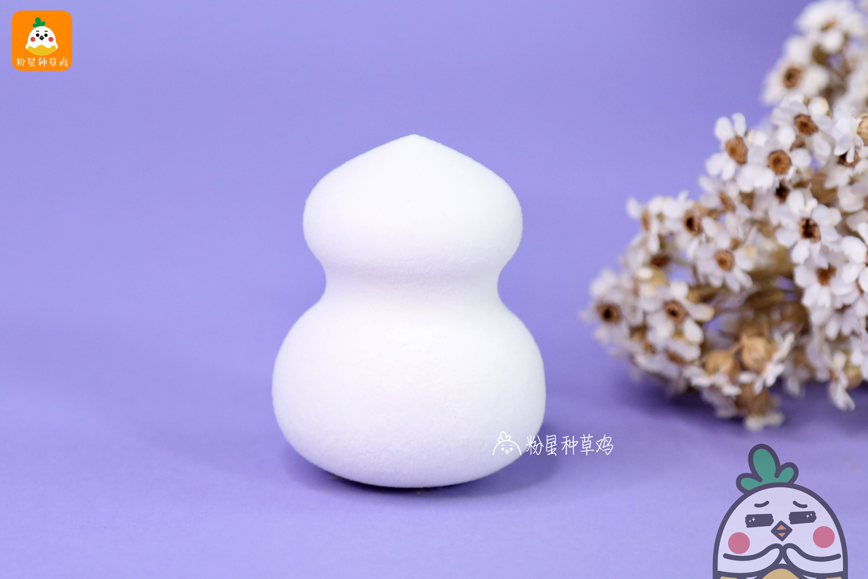 beauty blender美妝蛋和rt美妝蛋哪個好？