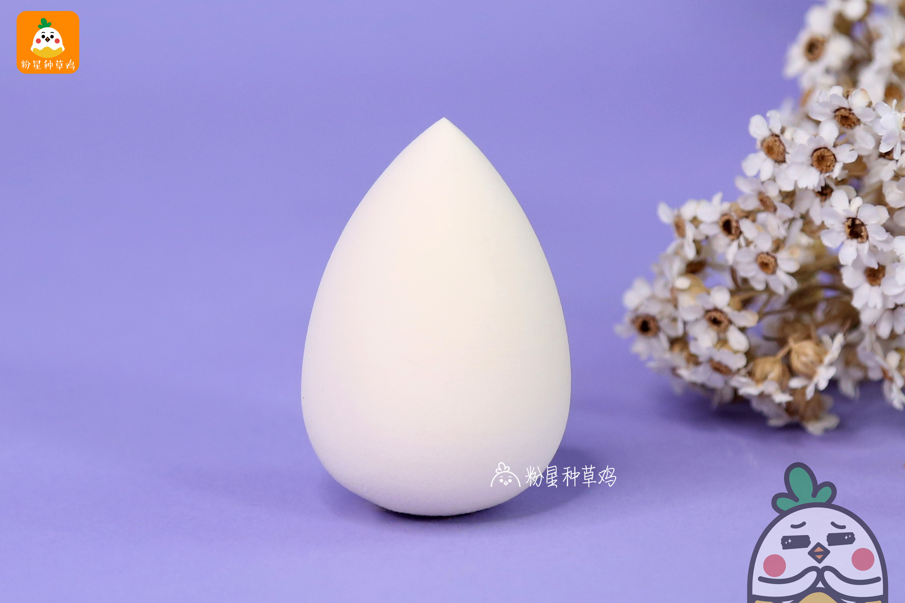 beauty blender美妝蛋和rt美妝蛋哪個好？