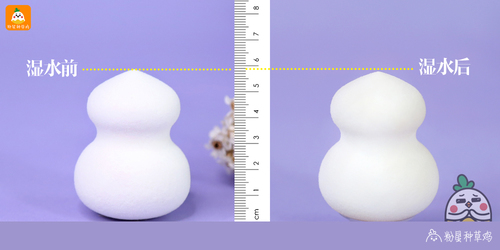 beauty blender美妝蛋和rt美妝蛋哪個好？