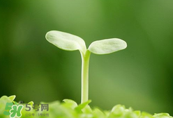 甲醛檢測(cè)儀哪個(gè)牌子好？哪個(gè)牌子的甲醛檢測(cè)儀好？