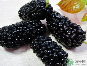 吃桑葚會(huì)拉黑便嗎？吃桑葚大便黑色怎么回事？