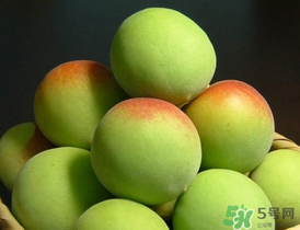 青梅什么時(shí)候成熟？青梅幾月份成熟？