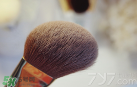 受受狼是哪個國家的？受受狼化妝刷推薦