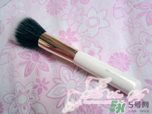 bloomy老爺家化妝刷哪款好？bloomy化妝刷推薦