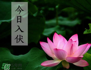 2017年頭伏是哪一天？2017年什么時(shí)候入伏？