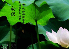 2017年頭伏是哪一天？2017年什么時(shí)候入伏？