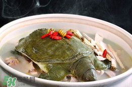 懷孕初期能吃甲魚(yú)嗎？懷孕初期可以吃甲魚(yú)嗎？