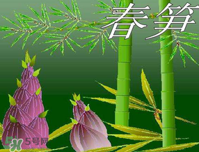 春筍多少錢一斤？春筍多少錢一斤2017？