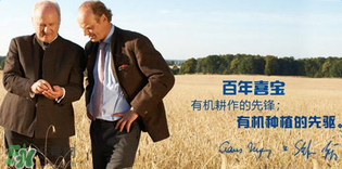 喜寶米粉怎么樣？喜寶米粉如何？