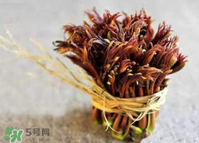 香椿幾月份可以吃？香椿什么時候吃？
