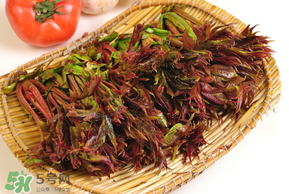 香椿為什么會苦？香椿苦味怎么回事？